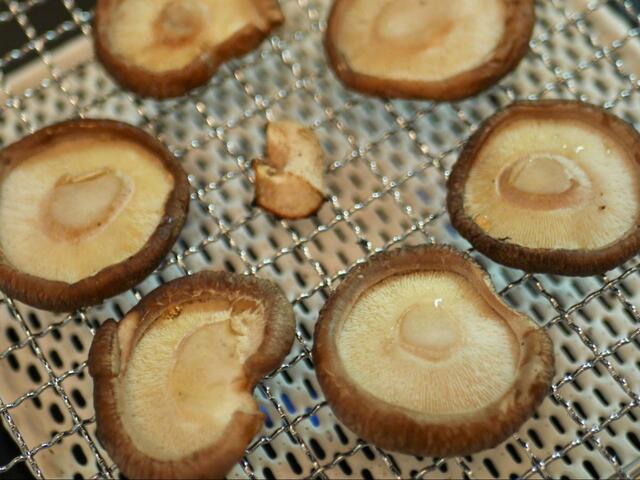 【丸十金網　セラミック焼き網】セラミックなので、コンロの火で炭火焼きのような効果が得られます