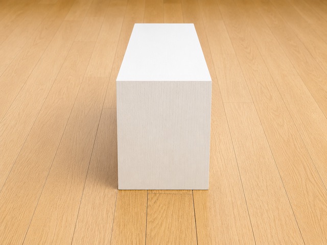【無印良品 壁に付けられる家具箱】サイズは約幅44×奥行15.5×高さ19cm。奥行きが十分あるのが嬉しい♪