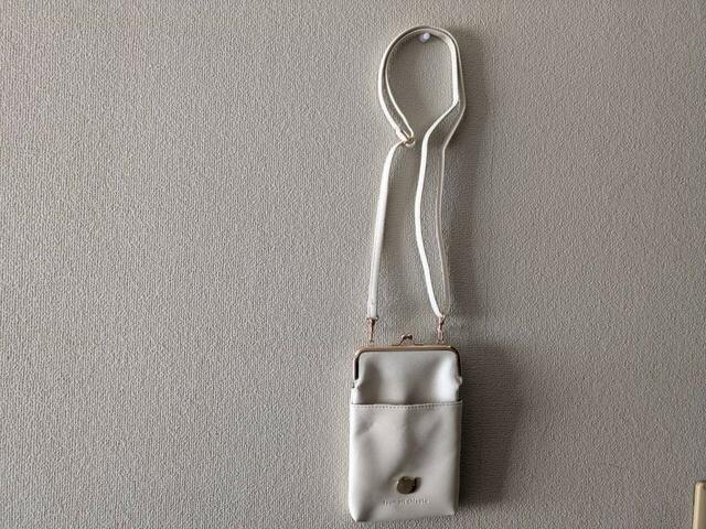 壁にぶら下げてみました【tsumori chisato（ツモリチサト）付録：上品がま口ポシェット】