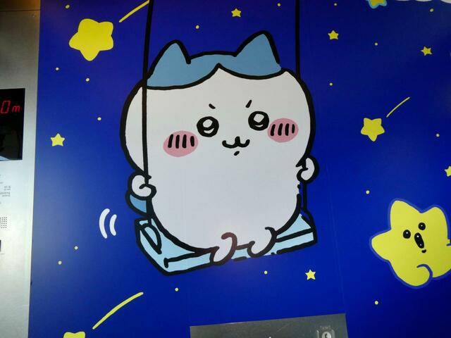 勇ましい顔でブランコを漕ぐハチワレ、かわいいです♪