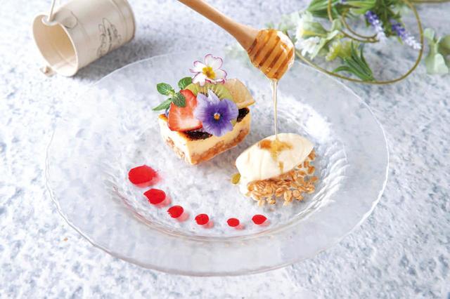 春のバスクチーズケーキ 生はちみつアイス添え【チーズと生はちみつBeNe アスナル金山】
