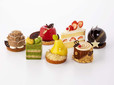 「Petit Gateau〈プティガトー〉スタンダードにこだわりました」
