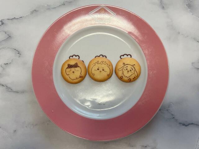 なんと亜種も！パツワレがかわいすぎ…！