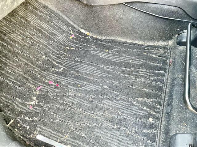 【激安スティック掃除機】石ころや砂、ゴミまみれの車内を掃除します