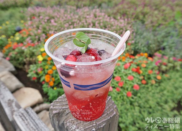 スパークリングカクテル（ミックスベリー）