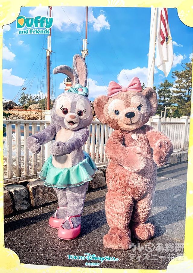 「ダッフィーのサニーファン」ディズニースナップフォト