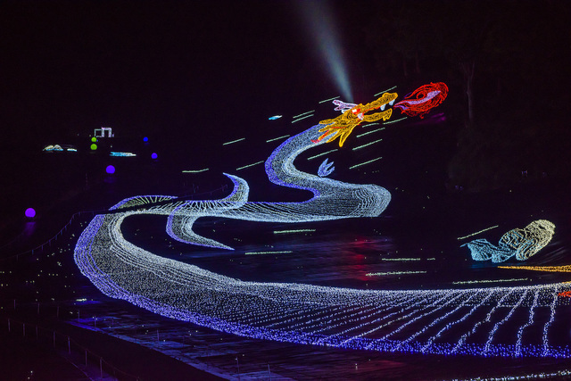 アパリゾート上越妙高イルミネーション2016『光の双龍』