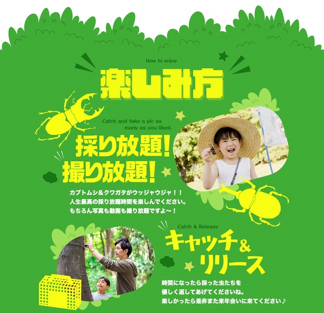 デカイ虫かご イメージ