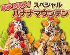 左：果実が実るバナナマウンテン　右：森と動物たちのバナナマウンテン