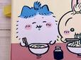 ふわふわ増毛中のハチワレもかわいすぎる！