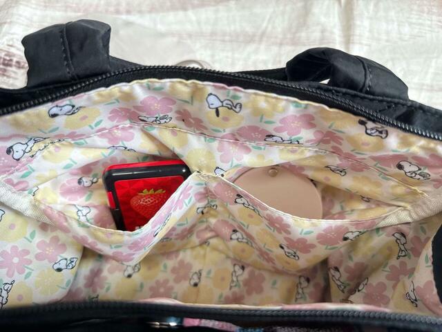 内側の区切りポケットにはミラーとミントタブレットを収納