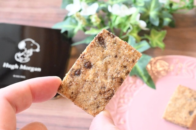 【ヒューモルガン「チョコチップクッキー スヌーピー缶」】1枚はこれくらいのサイズ。ほどよいサイズ感です