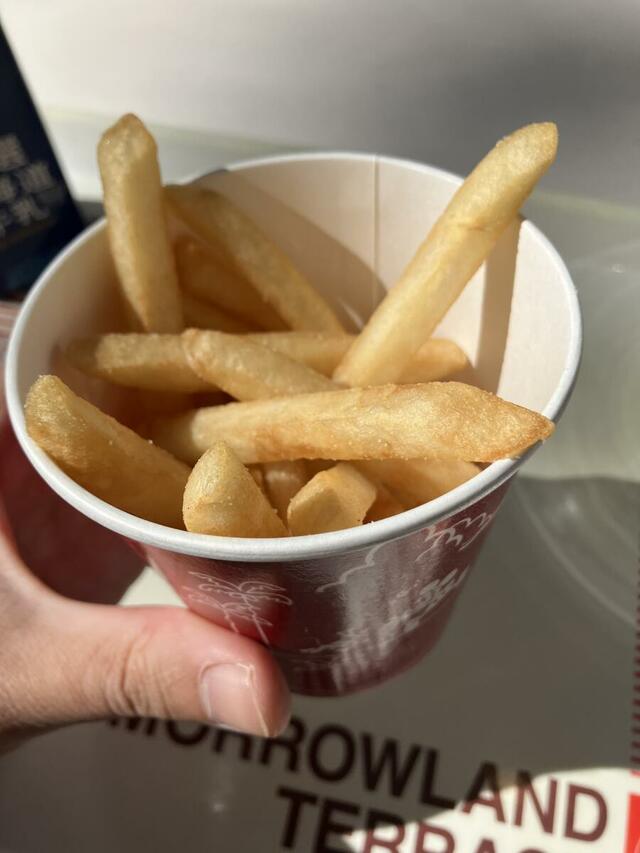 ハンバーガーには欠かせないフレンチポテトフライは280円！　成人男性が片手で持てるサイズのカップに入っている。