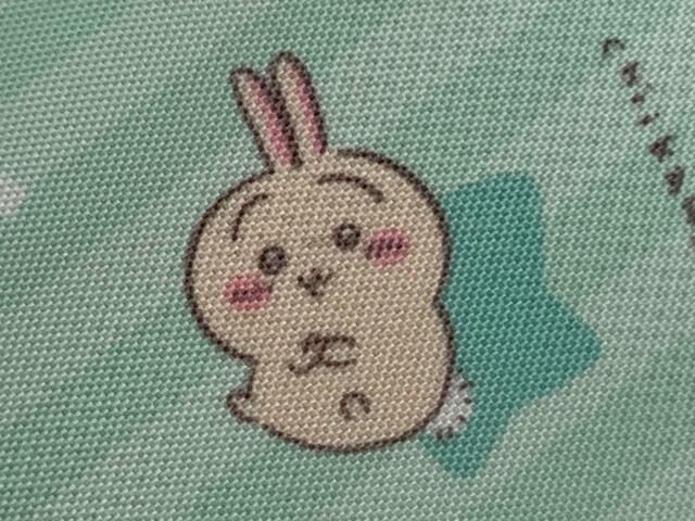 【キラピチ2023年8月号付録】腕組みをしているうさぎ、たまりません…！