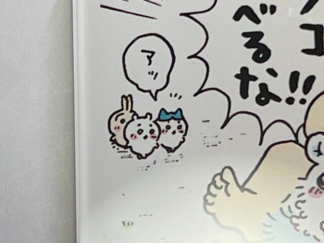 遠目から発見したちいハチうさがかわいい！