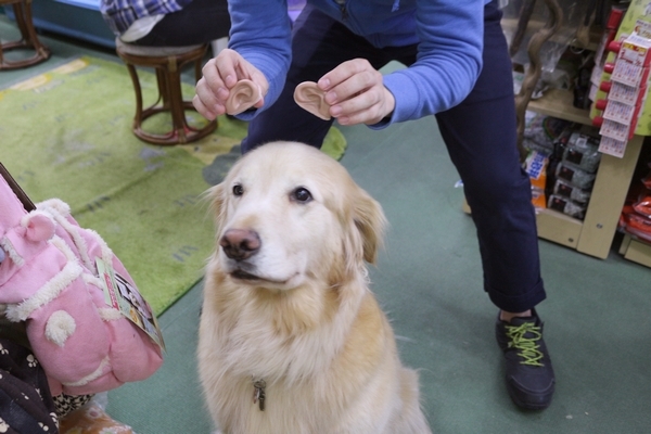 そっと近づいて・・・