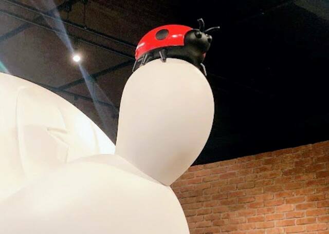 鼻の上のてんとう虫、いいですね！