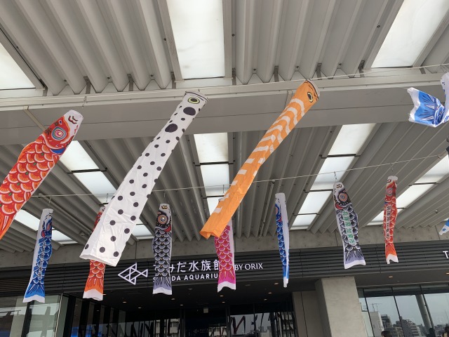 2種類のアナゴのぼりを探して歩こう！