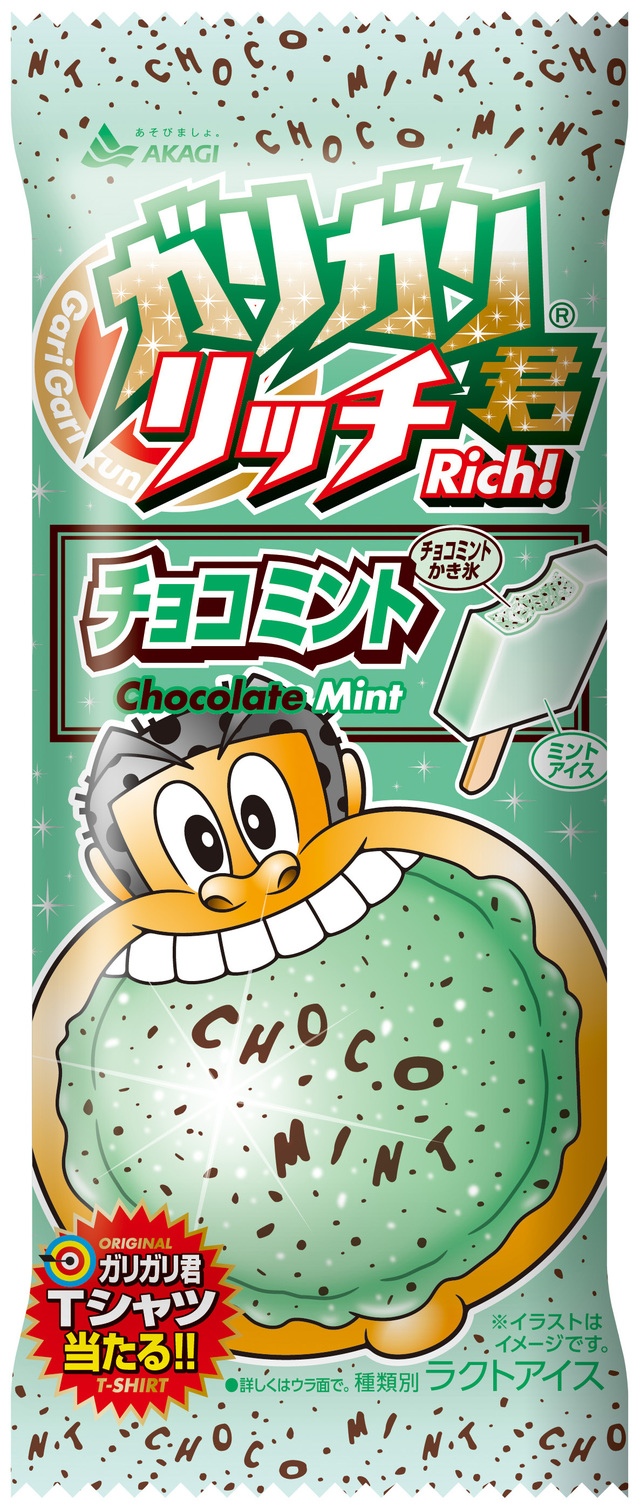 ガリガリ君リッチチョコミント