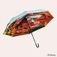 晴雨兼用両面印刷折りたたみ傘55cm 5,500円