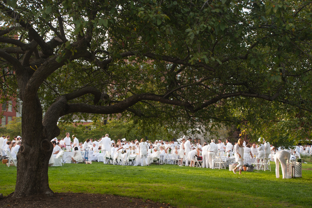 超優雅な“白”で統一されたパーティー「ディネ・アン・ブラン」
