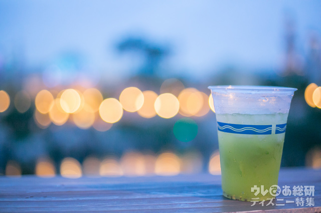 キウイモヒート x アラビアンコースト