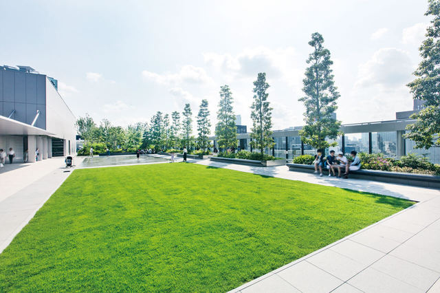 銀座最大である約4000㎡の屋上庭園。緑を身近に感じる環境は施設内でも人気のスポット。GINZA SIX【東京・銀座】