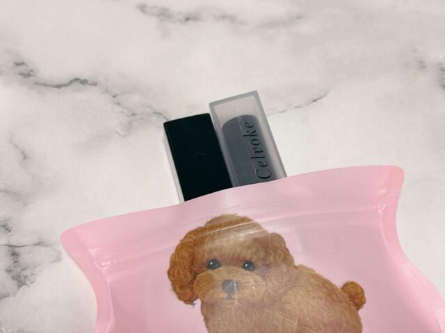 【カルディ ドッグミニパック　チョコレート】2本のリップが収納可能！