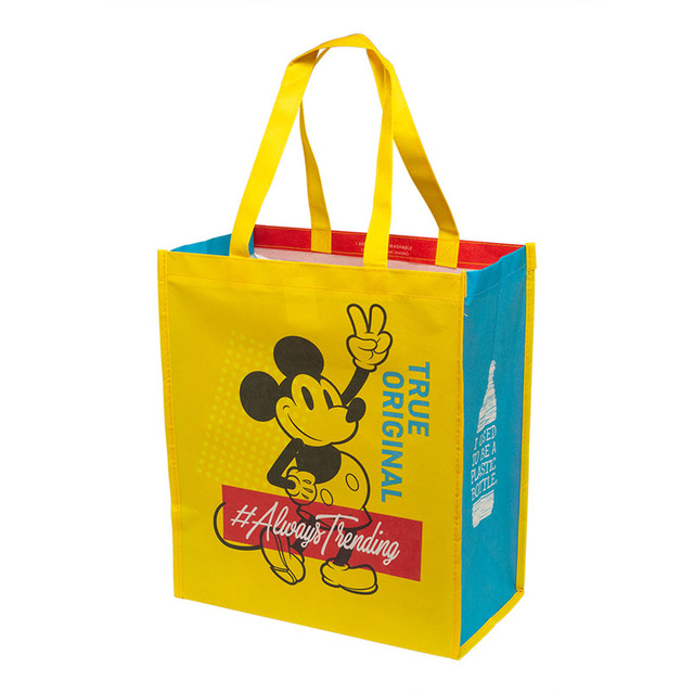 サステナブルバッグ500円