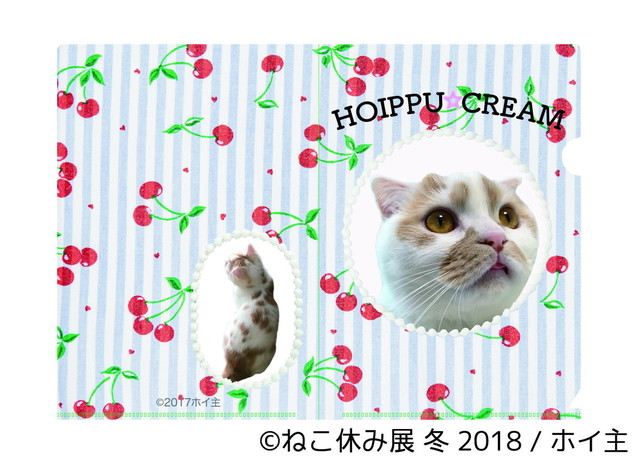 ホイップ(ホイ主)