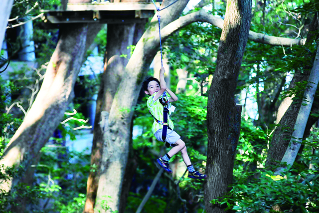 リゾナーレ熱海　森の空中散歩