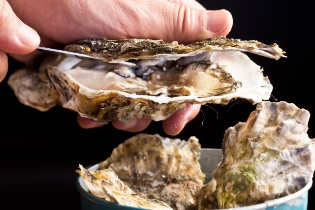 フィッシュマーケットさながらの牡蠣やロブスターなどを所狭しとのせたアイスベッドがライブ感を演出