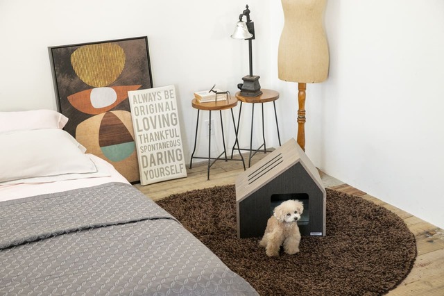 【フランスペット】「ペットハウス ソフィタ イン」