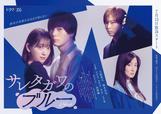ドラマイズム『サレタガワのブルー』