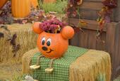東京ディズニーリゾートのハロウィーン Ⓒ Disney