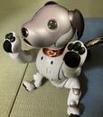 二本足になって応援をするaibo
