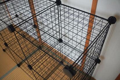 Amazon Basicの「3,000円台で買える収納キューブ」、デザインも収納