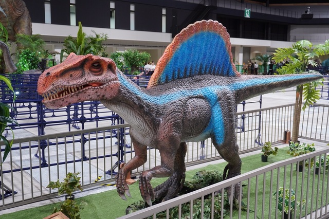 そのほか会場のようす【ディノフェス2024】