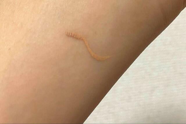 【mini 5月号 付録】こすっても全く消えません！耐久性もばっちり！