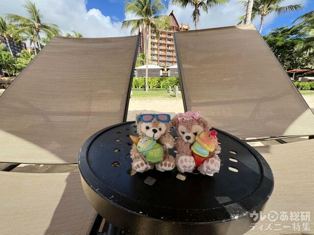 アウラニでぬい撮り