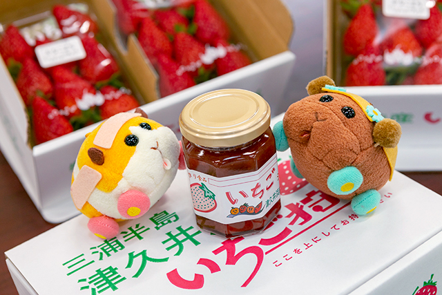 立寄り旬スポット「津久井浜観光農園」