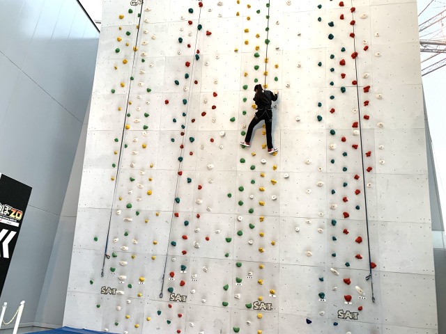 結構高いところまで登って楽しめる