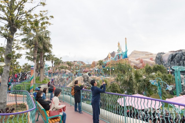 マーメイドラグーンは写真にも最適