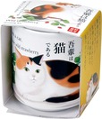 【聖新陶芸「お芽でたおちょこ　吾輩猫」】03ワイルドストロベリー