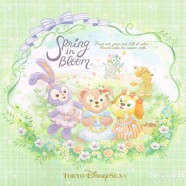 スナップフォト台紙