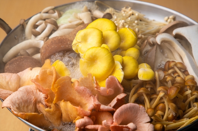 きのこ×キノコ×茸 7種のきのこ鍋
