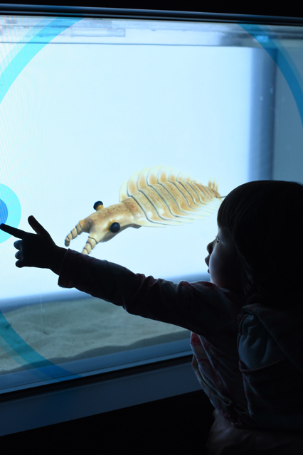 マジカルグラウンド　タッチパネル水槽 / エプソン アクアパーク品川