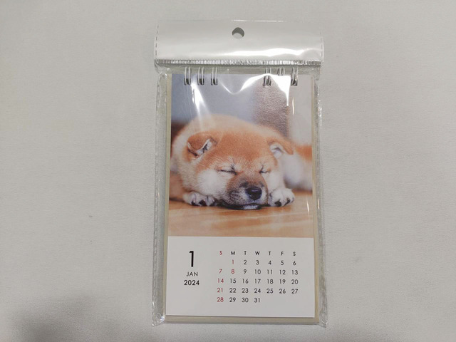 「カレンダー2024　上タテ型　イヌ（SJI‐62906）」100円税込