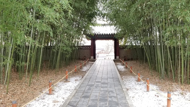 多くのドラマ撮影に使われた慶基殿の竹林