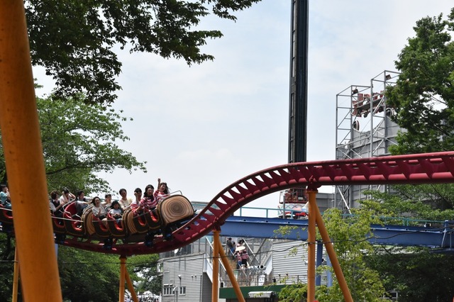 きゃああああああ!!